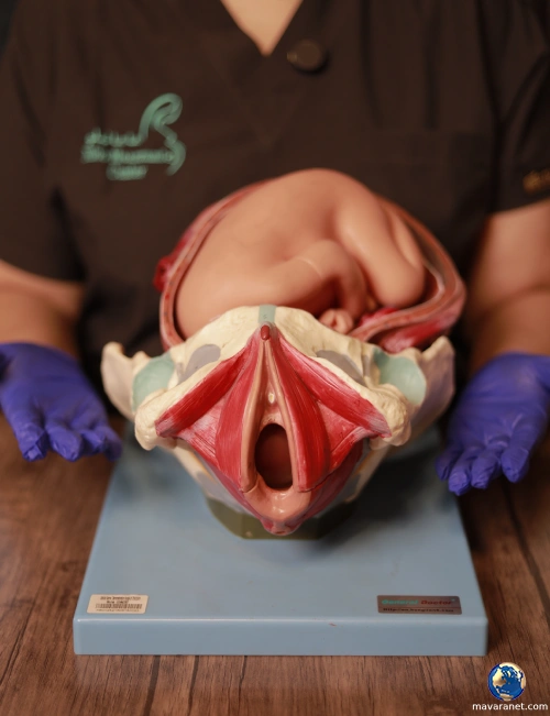 عکاسی پزشکی